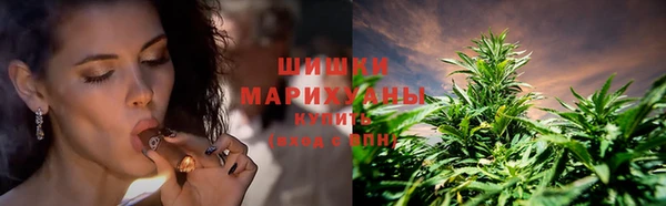 хмурый Ельня