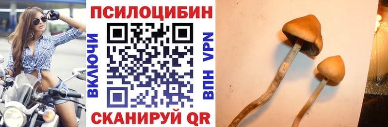 ОМГ ОМГ зеркало  Ирбит  Псилоцибиновые грибы мухоморы 